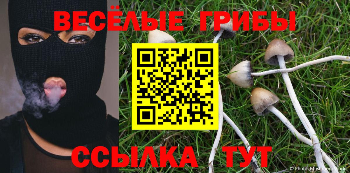 Галлюциногенные грибы Cubensis  Вход с VPN  Галлюциногенные грибы Psilocybine cubensis  Кандалакша 